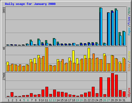 Daily usage for January 2008