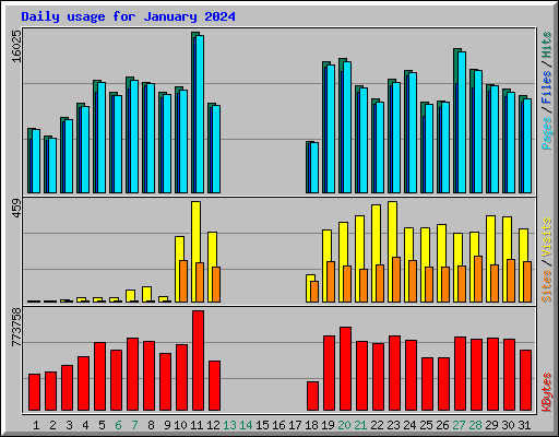 Daily usage for January 2024