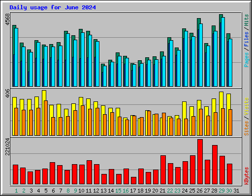 Daily usage for June 2024