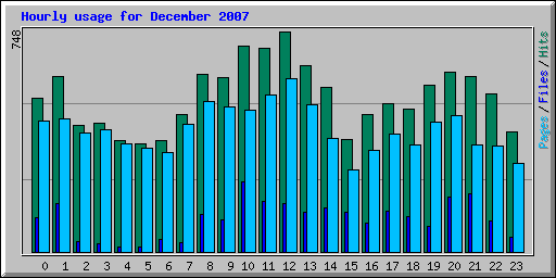 Hourly usage for December 2007