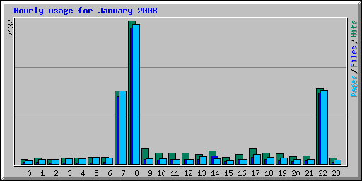 Hourly usage for January 2008