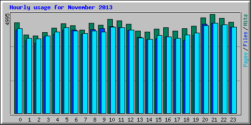 Hourly usage for November 2013