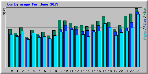 Hourly usage for June 2015