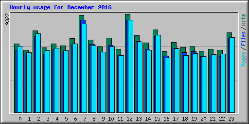 Hourly usage for December 2016