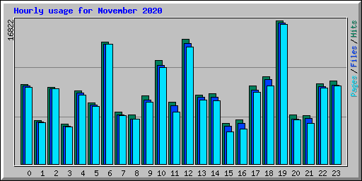 Hourly usage for November 2020