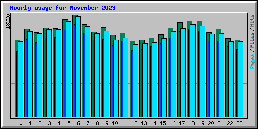 Hourly usage for November 2023