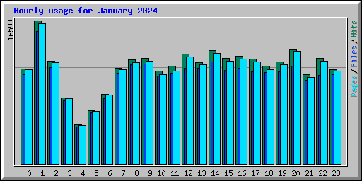 Hourly usage for January 2024