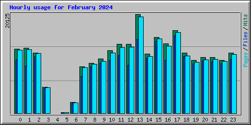 Hourly usage for February 2024