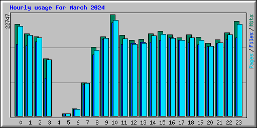 Hourly usage for March 2024