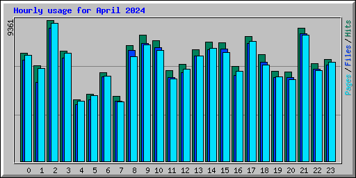 Hourly usage for April 2024