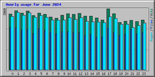 Hourly usage for June 2024