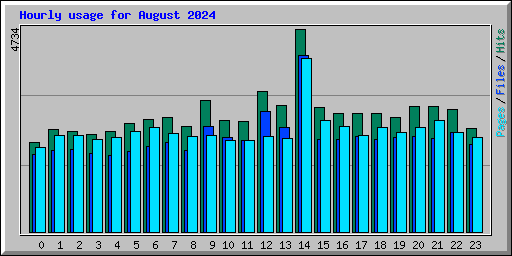 Hourly usage for August 2024