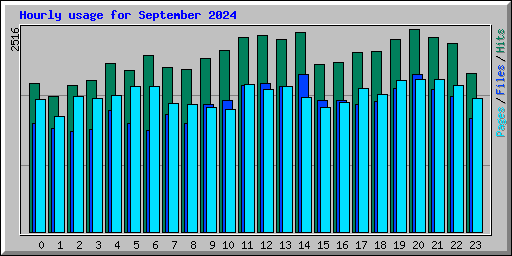 Hourly usage for September 2024