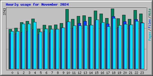 Hourly usage for November 2024