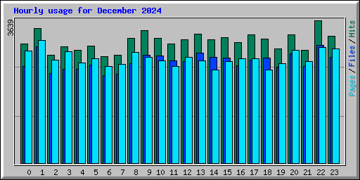 Hourly usage for December 2024