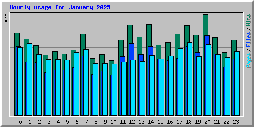 Hourly usage for January 2025